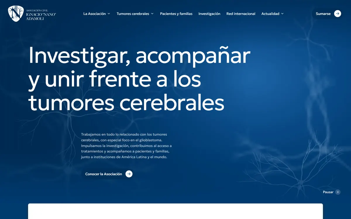 Captura del proyecto Asociación Adamoli